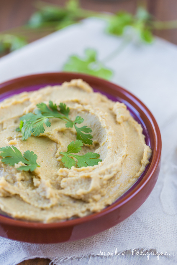 houmous de lentilles corail lait de coco3